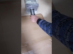 Wstrzykiwacz ekstrudujący jednowiercowy belek profesjonalny do granulacji