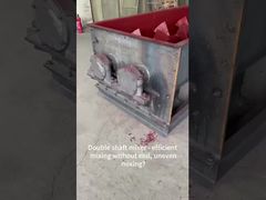 Niestandardowy wielowałowy przenośnik ślimakowy, dwuwałowy mieszalnik - Wytrzymały dwuwałowy mieszalnik łopatkowy do betonu